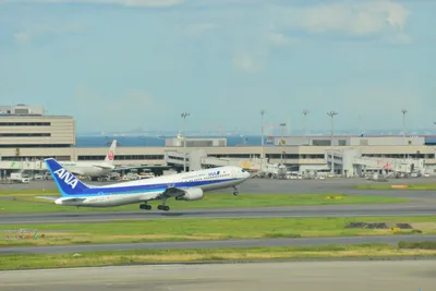 DSC_4052 (Large).JPG